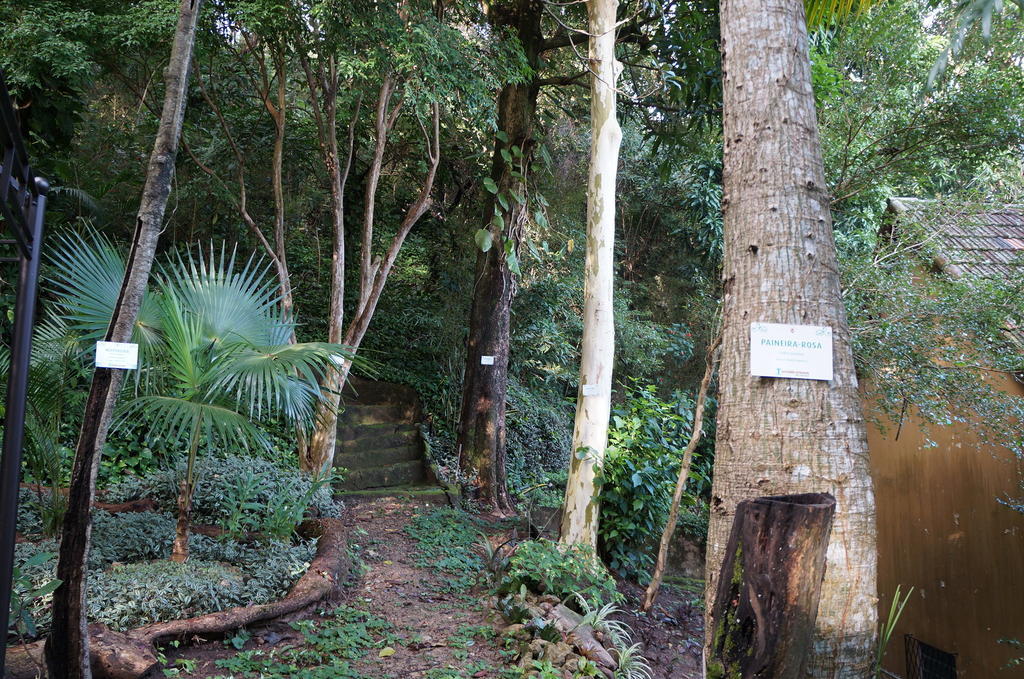 Casa Caminho Do Corcovado Nearchrist Redeemer Statue Rio de Janeiro Exterior photo
